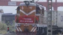 四虎精品视频成人,成人娱乐领域的翘楚之作
